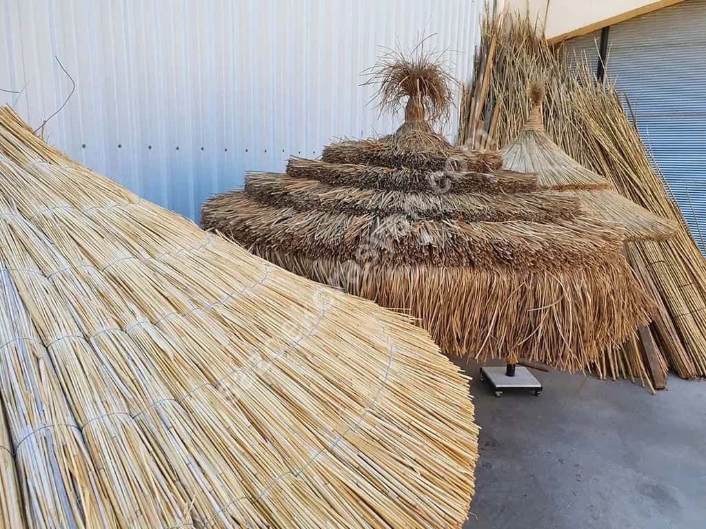 Saz Şemsiye